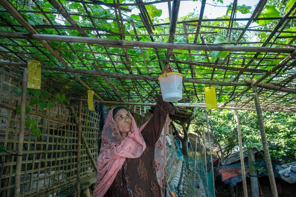 Oxfam beneficiary in Cox’s Bazar. Source: oxfam.org.uk
